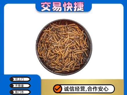 呼伦贝尔新巴尔虎右旗回收散虫草